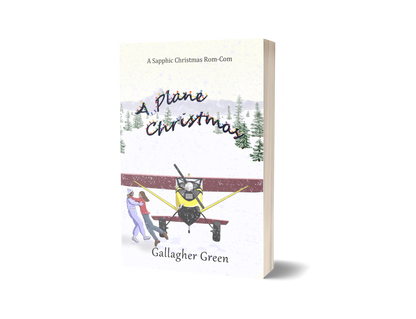 A Plane Christmas: A Novel (Paperback)