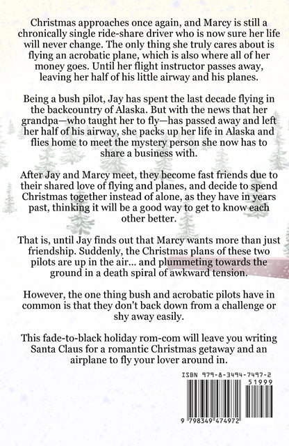 A Plane Christmas: A Novel (Paperback)
